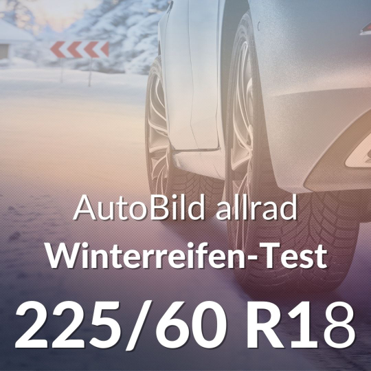 AutoBild allrad Winterreifen-Test in 225/60 R18
