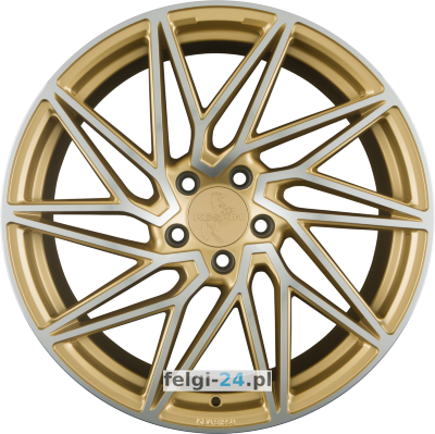 KESKIN KT20 FUTURE <br />8.50 x 19 ET 45.00 5 x 112.00 <br />Złoty