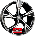 Alloy